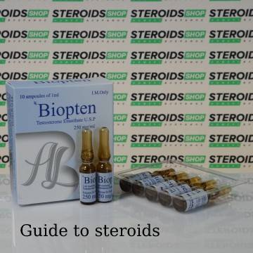 Guide to steroids